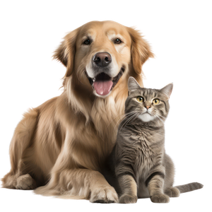 Предложение: 222327