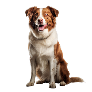 Предложение: 223552