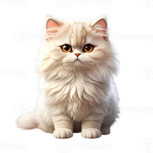 Предложение: 224917