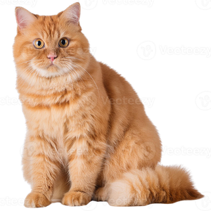 Предложение: 225299