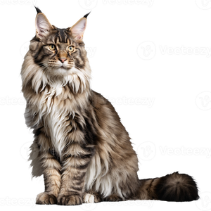 Предложение: 227484