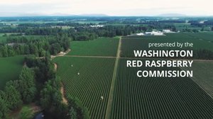 Предложение: 228531