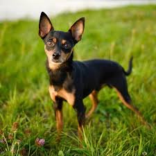 Предложение: 228530